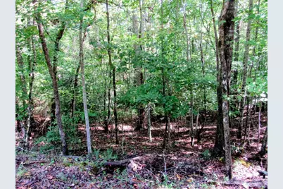343 Hollybrook Road, Dahlonega, GA 30533 - Photo 9
