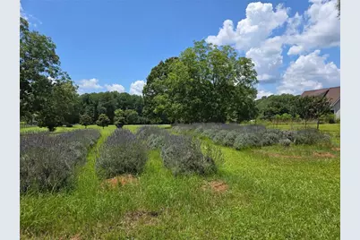 442 Buffalo Creek Road, Carrollton, GA 30117 - Photo 103