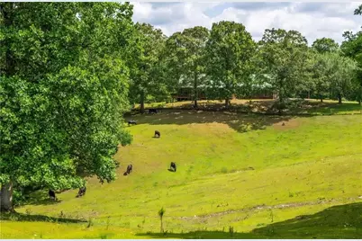3806 Ball Ground Road, Ball Ground, GA 30107 - Photo 5
