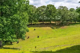 3806 Ball Ground Rd, Ball Ground, GA 30107 - Photo 5
