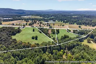 5648 Hwy 53 A W, Jasper, GA 30143 - Photo 89