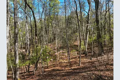 320 Fern Park Drive, Dawsonville, GA 30534 - Photo 11