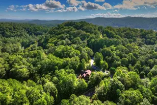 12 N Dream Catcher, Blue Ridge, GA 30513 - Photo 69