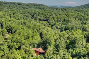12 N Dream Catcher, Blue Ridge, GA 30513 - Photo 67
