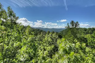 12 N Dream Catcher, Blue Ridge, GA 30513 - Photo 35