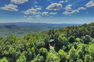 917 Walnut Ridge, Ellijay, GA 30536 - Photo 47