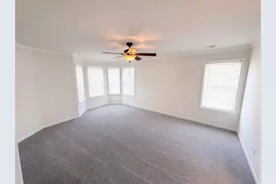 12 Columns Way, Newnan, GA 30265 - Photo 13