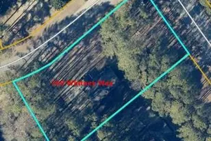 100 Whitney Way, Fayetteville, GA 30214 - Photo 3