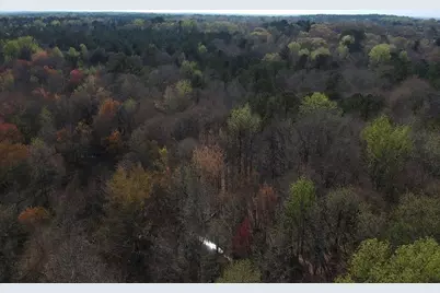 0 Cobb Road, Covington, GA 30014 - Photo 9