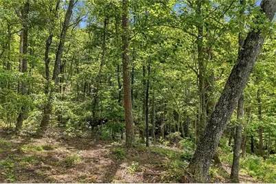 3 Turkey Spur Drive, Ellijay, GA 30540 - Photo 5