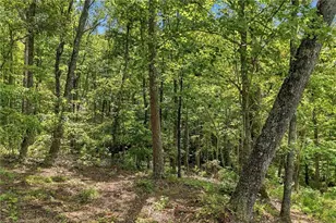 3 Turkey Spur Dr, Ellijay, GA 30540 - Photo 5