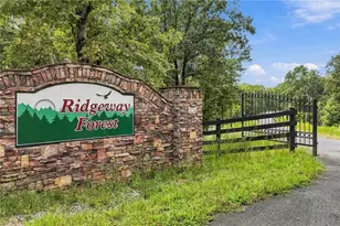 3 Turkey Spur Dr, Ellijay, GA 30540 - Photo 19