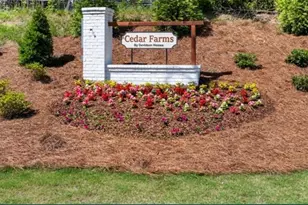 75 Spruce Holw, Winder, GA 30680 - Photo 21