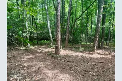 130 Patriot View Drive, Dahlonega, GA 30533 - Photo 11