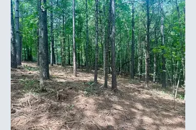 130 Patriot View Drive, Dahlonega, GA 30533 - Photo 13