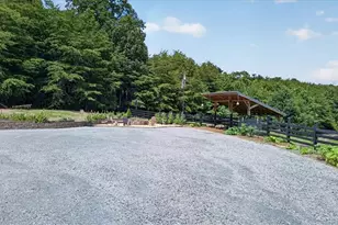290 Knucklesville Rd, Rydal, GA 30171 - Photo 53