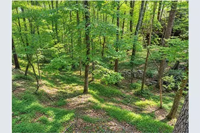 110 Indian Ridge Court, Waleska, GA 30183 - Photo 23