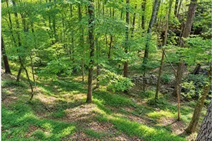 110 Indian Ridge Ct, Waleska, GA 30183 - Photo 23