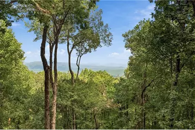 411 Sanderlin Mountain Drive S, Big Canoe, GA 30143 - Photo 11