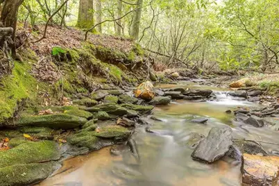 10 Morgan Walk, Big Canoe, GA 30143 - Photo 29