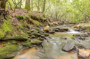 10 Morgan Walk, Big Canoe, GA 30143 - Photo 29