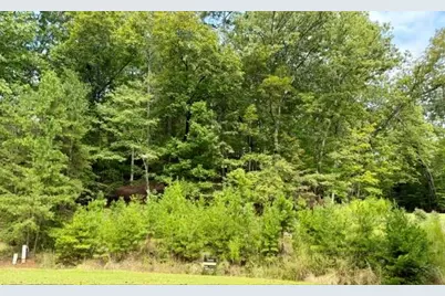 40 Madeline Anthony Road, Dahlonega, GA 30533 - Photo 5