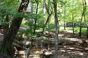 2045 River Falls Dr, Roswell, GA 30076 - Photo 49