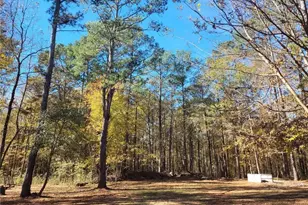 165 Moss Rd, Covington, GA 30016 - Photo 15