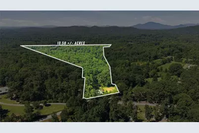 106 Goss Road, Clarkesville, GA 30523 - Photo 3