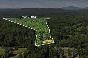 106 Goss Rd, Clarkesville, GA 30523 - Photo 3