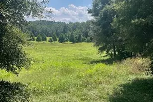 Lot 8 Captains Ct, Clarkesville, GA 30523 - Photo 1