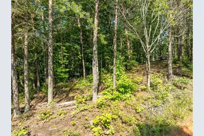 Lot 9 Brushy Top Drive, Chatsworth, GA 30705 - Photo 11