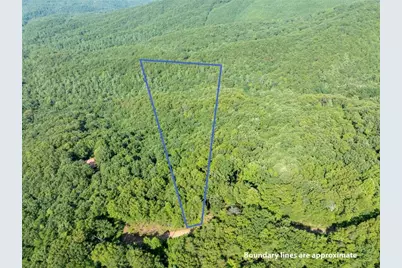 Lot 9 Brushy Top Drive, Chatsworth, GA 30705 - Photo 1