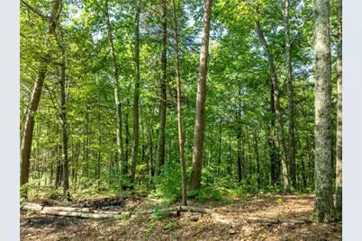 Lot 9 Brushy Top Drive, Chatsworth, GA 30705 - Photo 17
