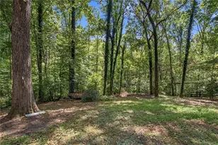 2038 Laurel Cove, Ball Ground, GA 30107 - Photo 35