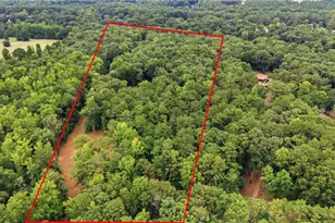 766 Kibbee Rd, McDonough, GA 30252 - Photo 43