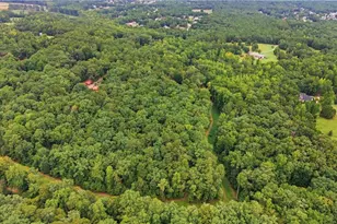 766 Kibbee Rd, McDonough, GA 30252 - Photo 47