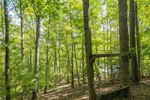 767 Robertson Cir, Blairsville, GA 30512 - Photo 23