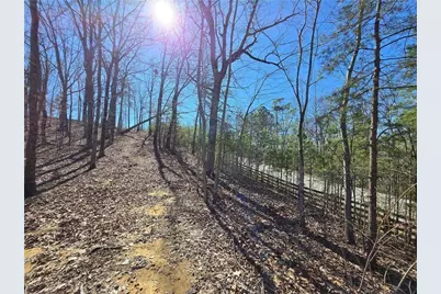 00 Brushy Mountain Road, Rockmart, GA 30153 - Photo 3