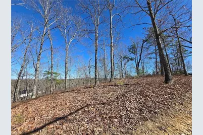00 Brushy Mountain Road, Rockmart, GA 30153 - Photo 5