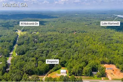 311 Caprice Drive, Martin, GA 30557 - Photo 11