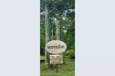 10671 Serenbe Lane, Chattahoochee Hills, GA 30268 - Photo 39