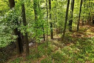 115 Redleaf Ct, Alpharetta, GA 30005 - Photo 45