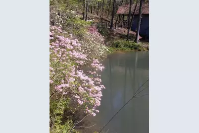 [Address not provided], Dawsonville, GA 30534 - Photo 91