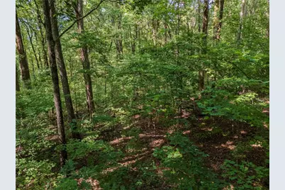 0 Clearview Drive, Jasper, GA 30143 - Photo 9