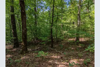 0 Clearview Drive, Jasper, GA 30143 - Photo 7
