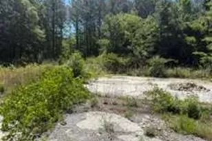 2137 Joy Lake Rd, Morrow, GA 30260 - Photo 1