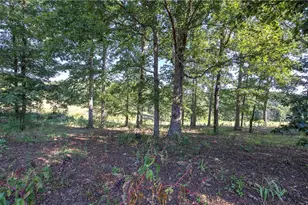 220 Connesena Rd, Kingston, GA 30145 - Photo 47