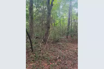 822 Tabby Lane, Athens, GA 30605 - Photo 3