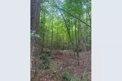 822 Tabby Lane, Athens, GA 30605 - Photo 5